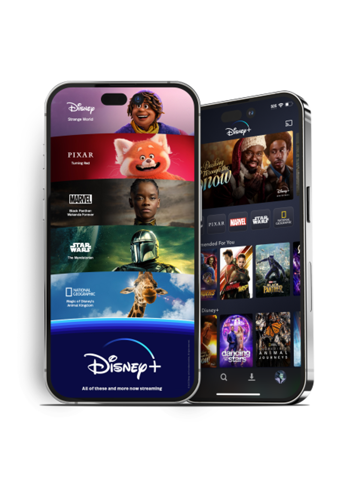 DIGICEL  DISNEY - 770 x 650 pixels  - FEB 2024 2.png